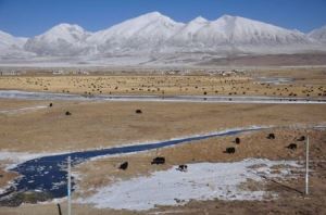冬天进藏自驾游哪个线路最好呢 2022年新春自驾游之一(49)