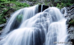 想去庐山的小伙伴看过来怎么说 想去庐山的小伙伴看过来(3)