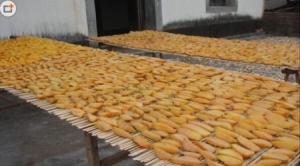 江西赣州红薯干制作 赣州兴国县特产之3