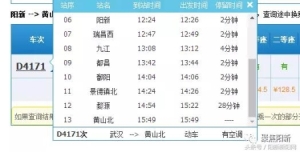 阳新新火车站最新消息 又一条新铁路正式开通运营3