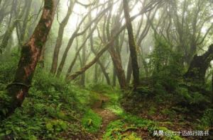 西双版纳规划旅游路线 普洱旅行路线规划(7)