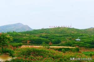 洛阳最美山村 隐藏在洛阳山村里的观景点(8)