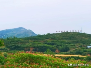 洛阳最美山村 隐藏在洛阳山村里的观景点(12)