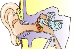 中耳炎流脓怎么办 中耳炎流脓发臭严重吗