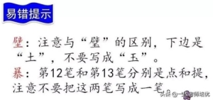 三年级上册知识点练习题语文 知识点练习题部编版三年级语文上册(17)