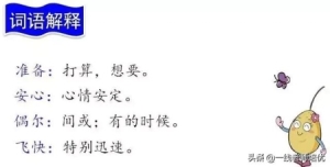 三年级上册知识点练习题语文 知识点练习题部编版三年级语文上册(19)