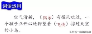 三年级上册知识点练习题语文 知识点练习题部编版三年级语文上册(21)