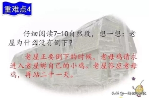 三年级上册知识点练习题语文 知识点练习题部编版三年级语文上册(34)