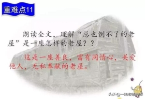 三年级上册知识点练习题语文 知识点练习题部编版三年级语文上册(48)