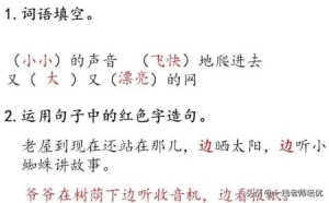 三年级上册知识点练习题语文 知识点练习题部编版三年级语文上册(51)