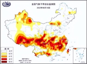 珠江水情实时监测（浙银早读多地感染者关联这一列车事关报备）(24)