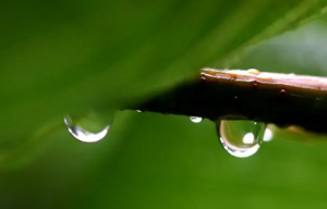 为什么武汉这些天老是下雨1