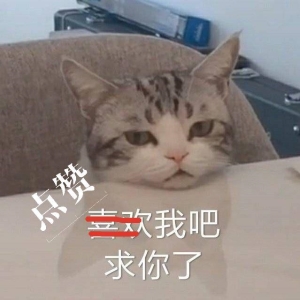 猫癣怎么才算彻底好了（猫癣不是啥大问题）(6)