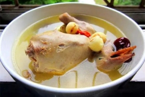 乳鸽汤的功效和作用 乳鸽汤可以下奶吗