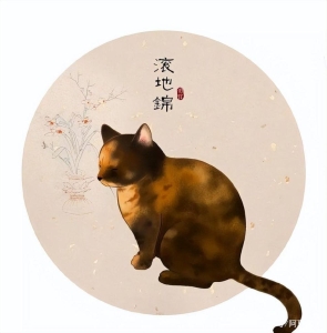 中华田园猫丨玳瑁猫的过去与现状