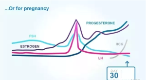 孕酮低是什么意思 孕酮低会流产吗