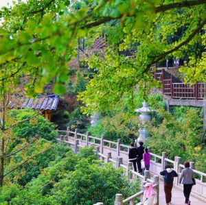 余杭径山一日行攻略，余杭径山自驾一日游攻略