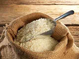 6种“米”的功效各不同 小米最养胃