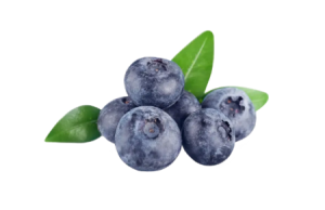 佳沃蓝莓和怡颗莓蓝莓哪个好吃2