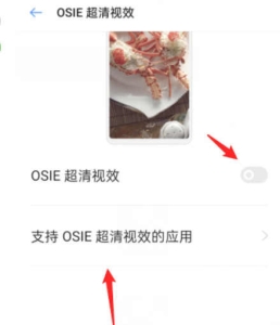 osie超清视效是什么意思