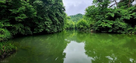 贵阳旅游十大必去景点一日游（探秘贵阳十大必游景点）(9)