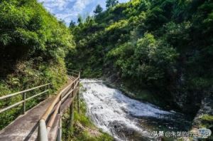 温州泰顺附近亲子游十大排名（泰顺最原始的景区）(10)