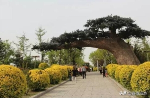 鲅鱼圈必去十大景点有哪些（辽宁营口市鲅鱼圈区十大景区有哪些）(10)