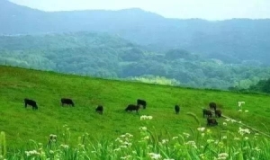 北京去丰宁坝上草原自驾游攻略