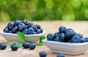 吃蓝莓大便是黑色的正常吗3
