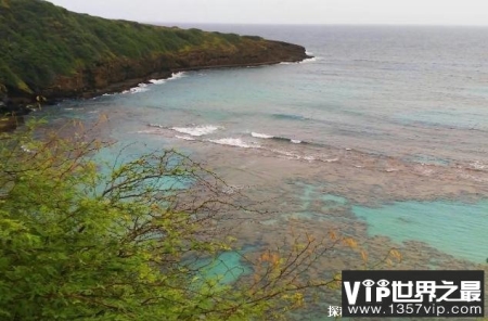 世界上年降水量最多的地方 夏威夷位于太平洋(全年有降雨)