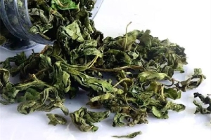 丁香茶多少钱一斤 丁香茶买哪里的好