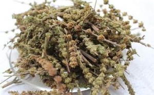 荆芥的功效与作用 荆芥的副作用2021最新详解