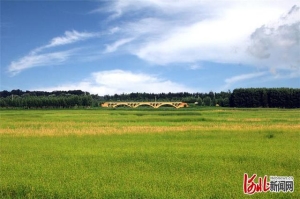 河北文安有哪些旅游景点（河北文安旅游唱响淀洼特色）(4)