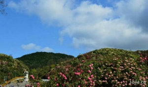 过年国内6条必备自驾路线攻略，超详细，希望给来游玩的朋友一点建议