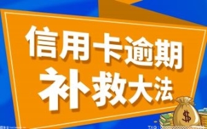 没有工作能办理个性化分期吗？个性化分期自己怎么办理？