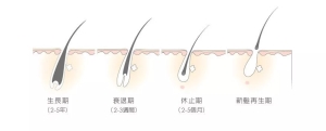 生发精华什么牌子好 5款最有效的生发精华