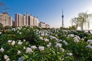 西安和洛阳哪个城市唐诗宋词最多（古诗词里出现频率最高的城市）(19)