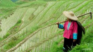 桂林旅游的最佳季节，自由行路线!少走弯路、避免踩坑!