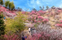 去紫金山哪些景点免费