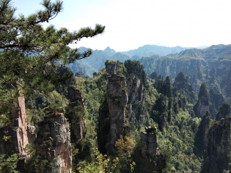 自驾游，想去张家界的天门山玻璃栈道，武陵源，大峡谷，金鞭溪