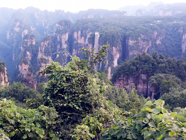 自驾游，想去张家界的天门山玻璃栈道，武陵源，大峡谷，金鞭溪