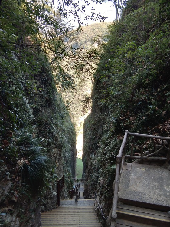 自驾游，想去张家界的天门山玻璃栈道，武陵源，大峡谷，金鞭溪