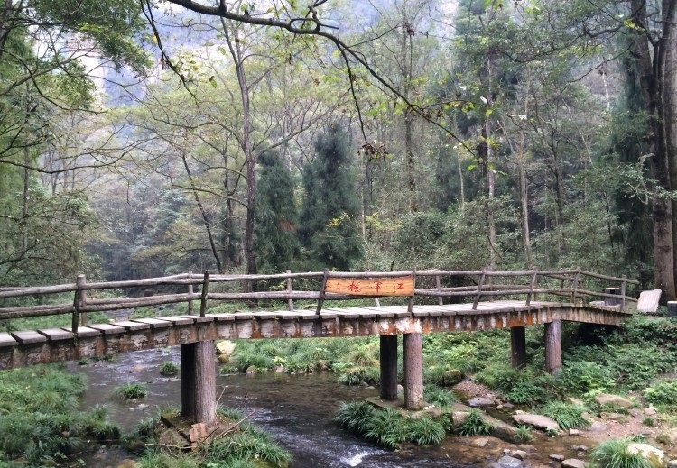 自驾游，想去张家界的天门山玻璃栈道，武陵源，大峡谷，金鞭溪