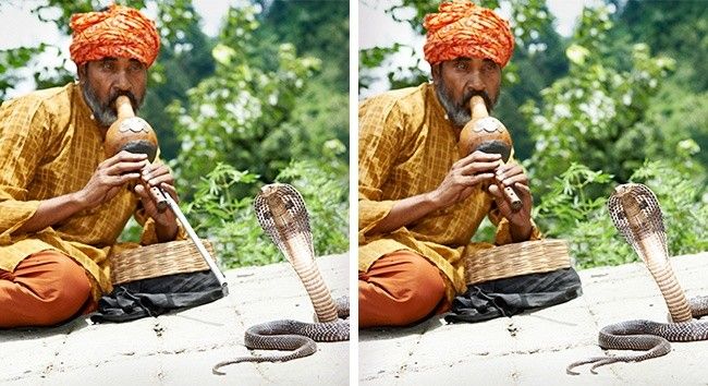 只有世上最天才的人才能找到这９张图里的所有不同点在哪！