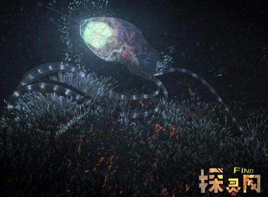 宇宙中最可怕的生物，比星球还大的生物或真实存在