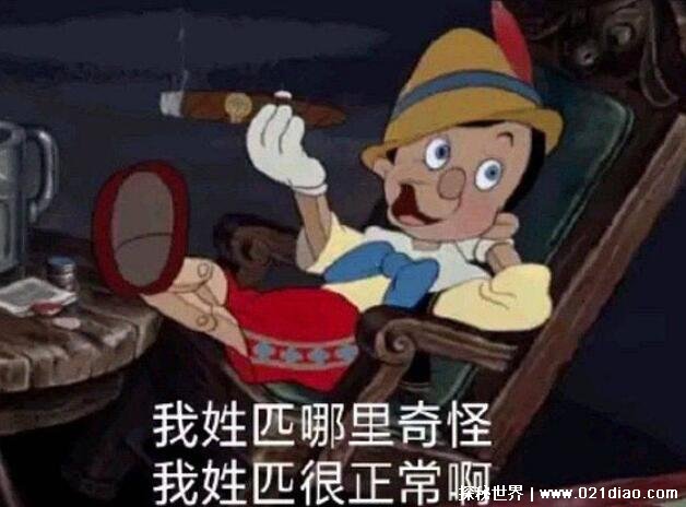 网络用于xp是什么意思，电脑的一种操作系统(也指一些特殊癖好)