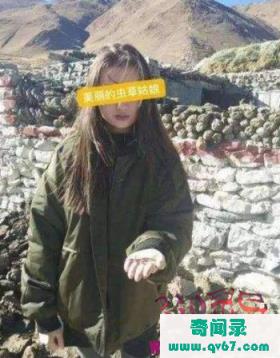 “虫草姑娘”落网了 类似的套路支教女、茶叶妹出现别再上当了！不敢公布的秘密是什么？