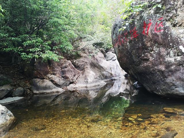 东莞必去十大免费景点有哪些（东莞市人都喜欢去的10个特色旅游景区）(14)