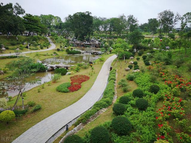 东莞必去十大免费景点有哪些（东莞市人都喜欢去的10个特色旅游景区）(24)