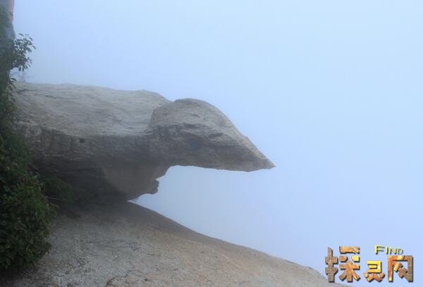 华山长空栈道灵异事件，半路遇鬼索命被神灵相救